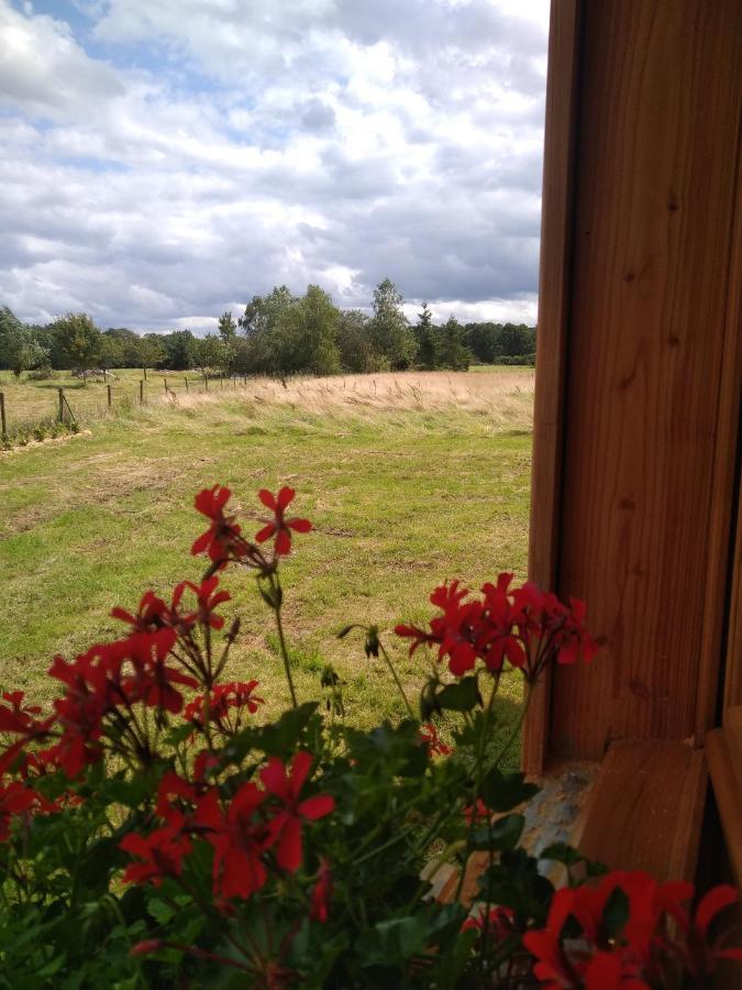 Au Paradou Du Bucheron Adults Only Lessive Luaran gambar