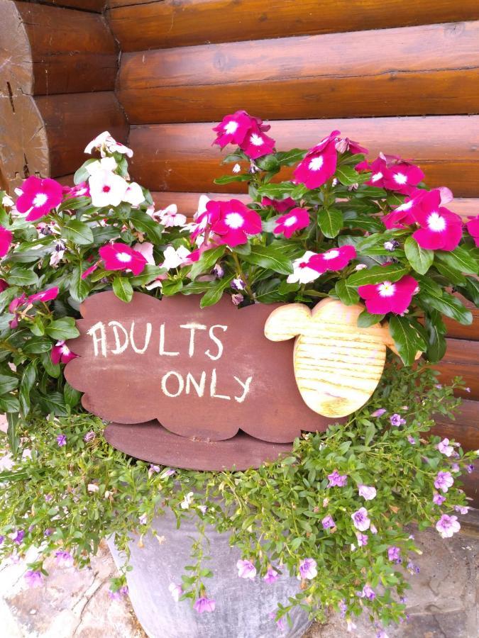 Au Paradou Du Bucheron Adults Only Lessive Luaran gambar